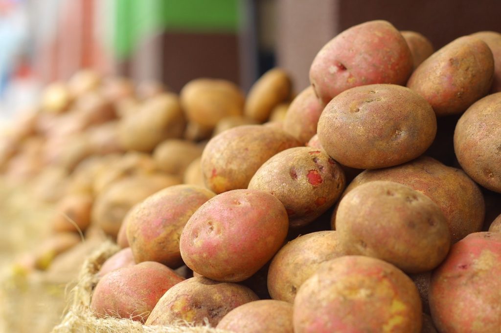 Plon ziemniaków również można zwiększyć stosując krzem.